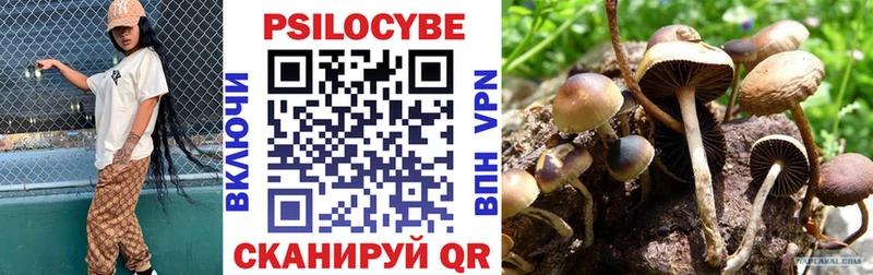 Псилоцибиновые грибы Psilocybine cubensis  как найти закладки  Норильск 