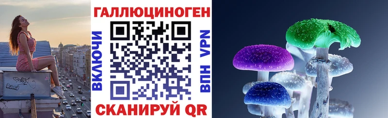 Галлюциногенные грибы Psilocybe Норильск